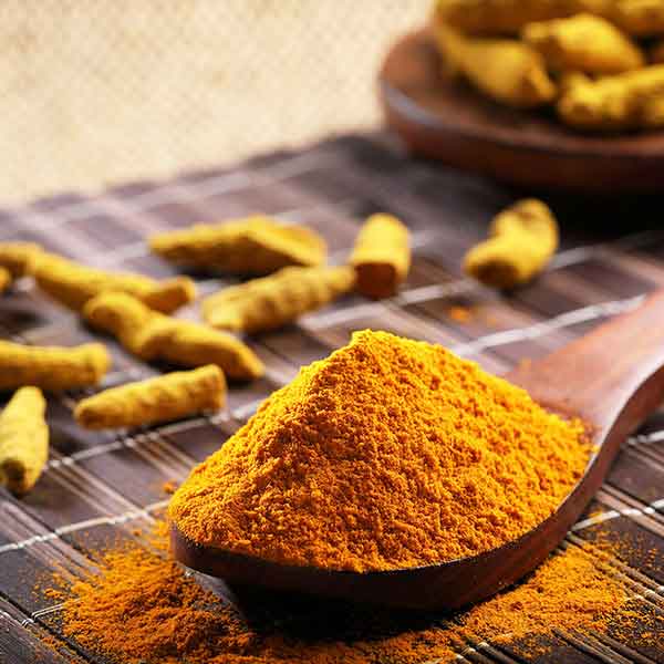 Turmeric_Photoshoot_Kalai-Group